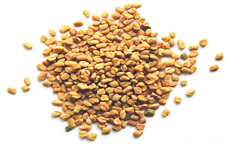 Top 10 herbs for Cholesterol Management