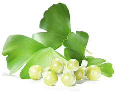 Top 10 Herbs to Manage Menopause