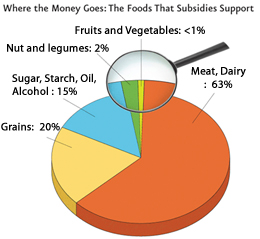USDA unveils MyPlate as the new food icon
