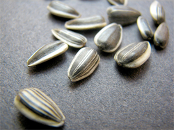 Top 10 a-must Healthy Seeds in your diet