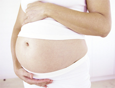 Identifying FSH  Role in  Conception