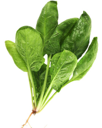 20 Foods to Save Your Heart 