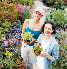 Herbs for Maintaining Healthy Blood Sugar 