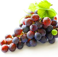 Say 'No' to Diet Foods For a Lasting Weightloss