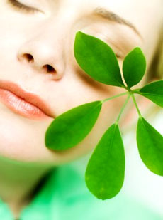 Herbs offering Sun Protection