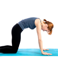 Mobilizing the�Upper Back