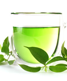 Herbs offering Sun Protection