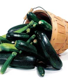   Zucchini : A multi health benefit powerhouse 