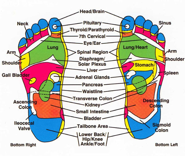 Reflexology-Foot-Map.jpg