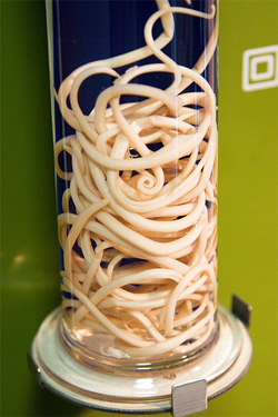 Tapeworm Diet: An Extremely Risky Weight Loss Method
