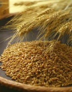 Freekeh: A Nutrition Powerhouse for Weight loss 