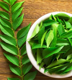  Amazing Health Benefits of Indian Curry Leaves