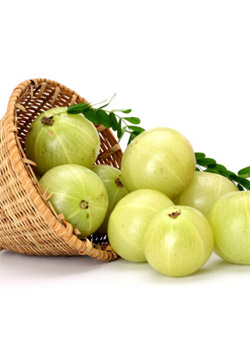  Indian Gooseberry (Amla): Miraculous Health Fruit