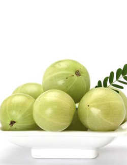  Indian Gooseberry (Amla): Miraculous Health Fruit