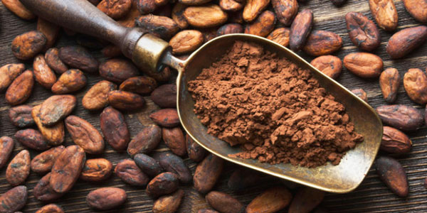 Raw Cacao: Unmatched Health Benefits