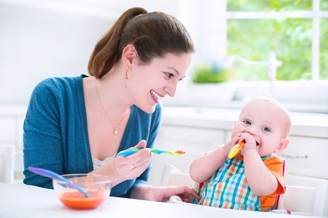 Solid Food Options for Your Little One