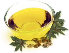 Castor oil: for Better Growth & Darker Hair 