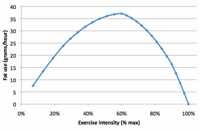 Crank Up the Intensity & watch the Fat Melt