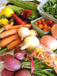 Top 10 Tips to Avoid Ingesting BPA: the Hormone Disrupter
