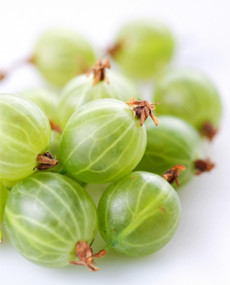 Alternate Remedies for Premature Grey Hair 