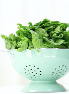 Top 10 to Gain Quick Results from a Weight Training Program 