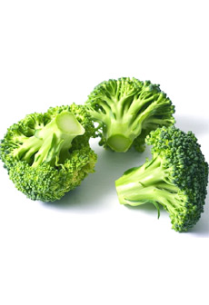 Top 10 to Gain Quick Results from a Weight Training Program 