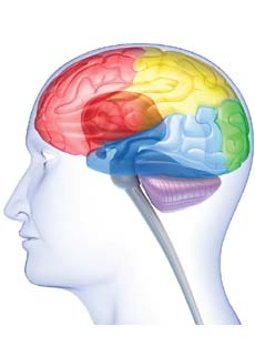 Cervical Cancer and Pregnancy