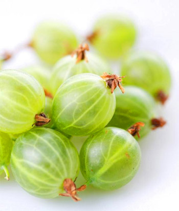 Gooseberries