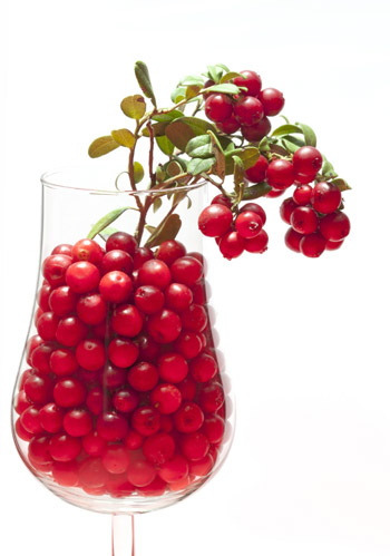 Ligon Berries