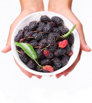 Mulberries