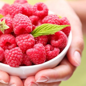 Raspberries Raspberries