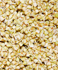 Parmesan cheese is known as King of cheeses