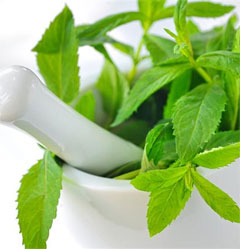 Peppermint: A Power House of Health Benefits