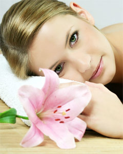 Red Sandalwood: Endangered Medicinal Plant