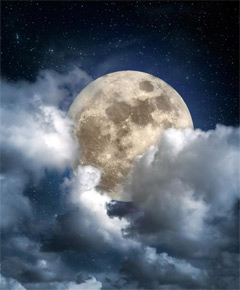 Werewolf Diet: The new weight loss rage