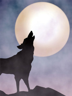 Werewolf Diet: The new weight loss rage