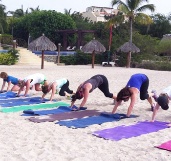Live Oak, Malibu, California, USA
