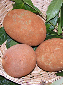 Cupuau: The Pharmacy In A Fruit