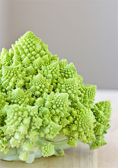 Romanesco: Unique Looking Multi Beneficial Vegetable Romanesco: Unique Looking Multi Beneficial Vegetable