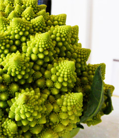 Romanesco: Unique Looking Multi Beneficial Vegetable 