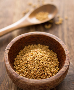 Pneumonia: Searching Herbal Remedies 