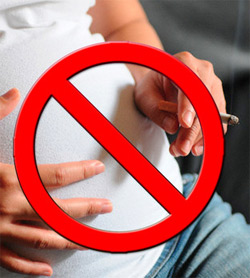 In utero exposures to maternal smoking place men's reproductive health at risk   