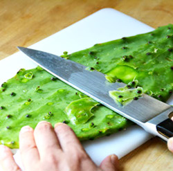 Nopal or Cactus Pads: A SuperFood