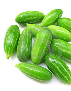 Coccinia grandis, Ivy Gourd or Kundru: A Miraculous Vegetable