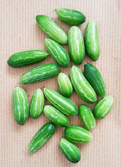 Coccinia grandis, Ivy Gourd or Kundru: A Miraculous Vegetable