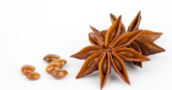 Anise seeds: The Wonder Aphrodisiac Herb for Women with Multiple Health Benefits