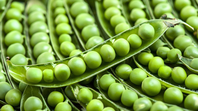 Pea Protein: A Vegetarian Super Food