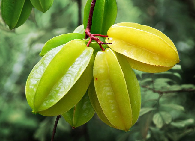 Health Benefits of Rarest and Exotic fruits of the world