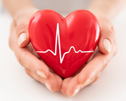 Water Intake and Heart Health