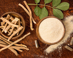 Mental Wellbeing Herbs